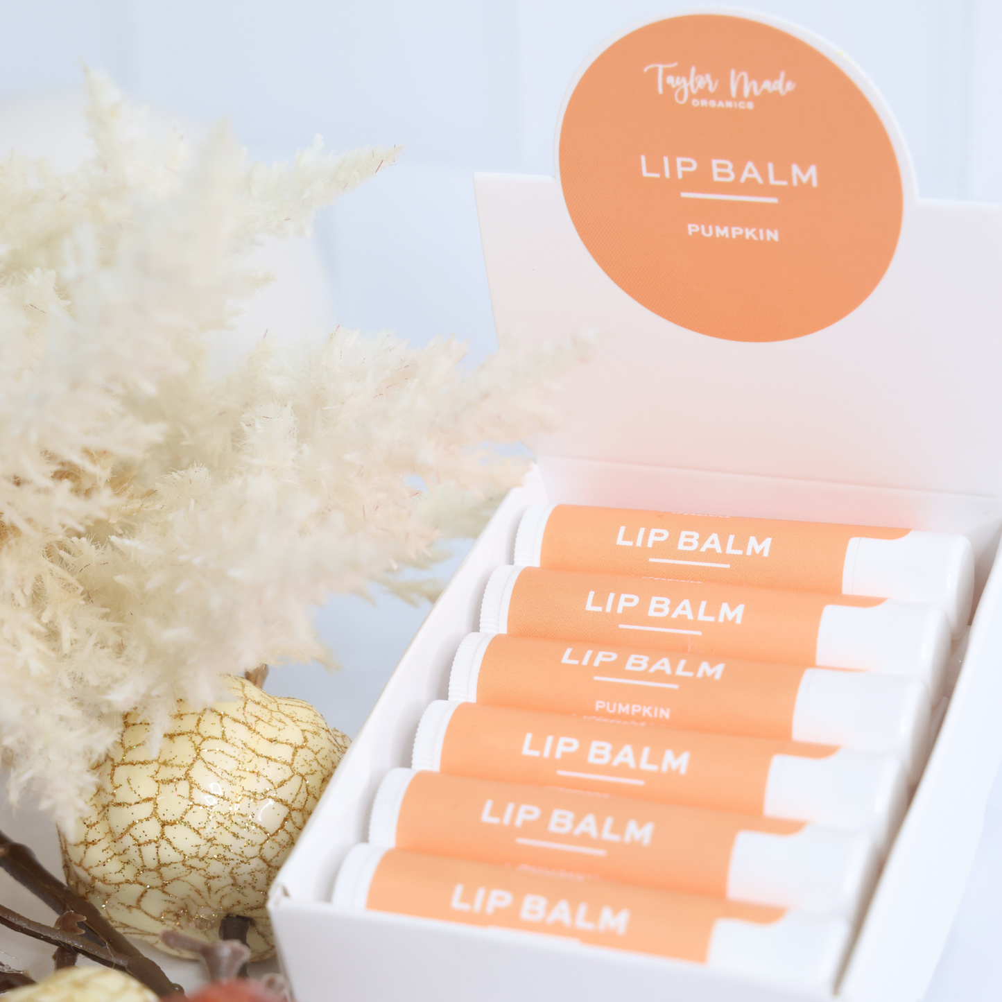 Taylor Made Organics - Pumpkin Lip Balm – Fall Limited Edition Moisturizing Balm